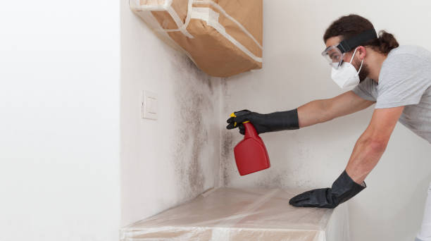 Professional Bathroom Mold Removal technician working in Kingston, IL