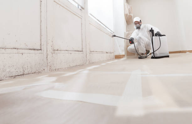 24/7 Emergency Bathroom Mold Removal experts in Kingston, IL